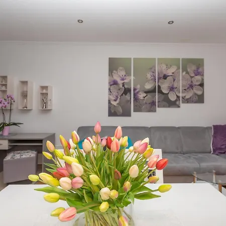 Long Apartament *
